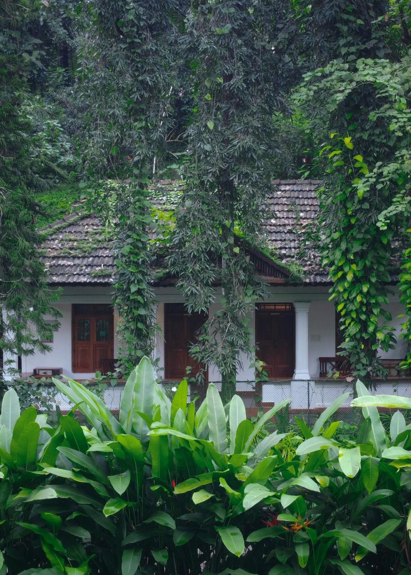 Vanilla County Vagamon Exterior photo